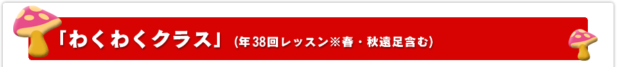 「わくわくクラス」(月2回レッスン)